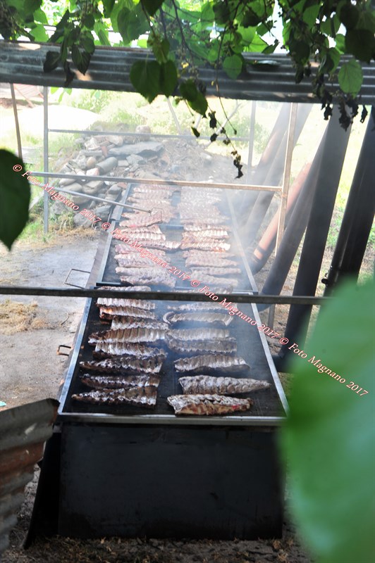 DSC_1153.JPG
